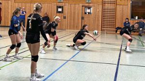 Volleyball, Verbandsliga Damen: Schmalkalder VV vorzeitig Vizemeister