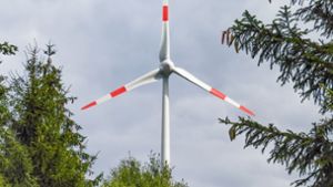 Stadtratswahl: Grüne werben für Windanlagen auf Freiflächen in kahlen Wäldern