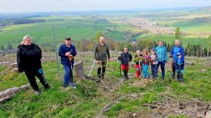 Bleßberg Eisfeld: Bogenschützen gegen Borkenkäfer